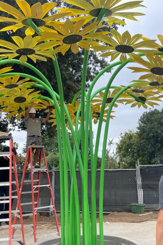Sunflower Project Image